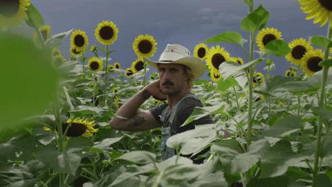 Rayland Baxter GIF by ATO Records