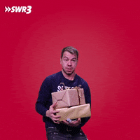 Merry Christmas GIF by SWR3