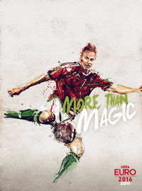 euro 2016 GIF by ESPN FC