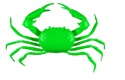 3D Crab Sticker by BIMBA Y LOLA