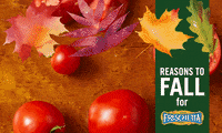 pizza sauce GIF by The Schwan Food Company