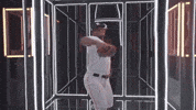 World Series Sport GIF by MLB