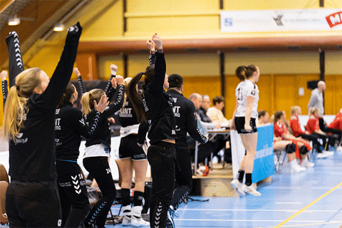 FlintTonsbergHandball giphyupload yes handball victory GIF