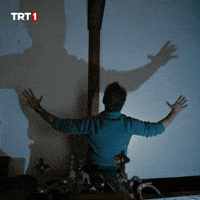 Champion Shadow GIF by TRT