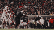 The Godfather Uc Football GIF by Cincinnati Bearcats
