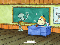 season 6 boating buddies GIF by SpongeBob SquarePants