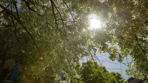 summer sun GIF by Creighton University