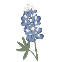 Texas Austin Sticker