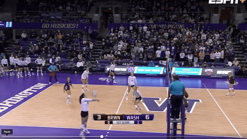 Ncaa GIF by Brown Volleyball