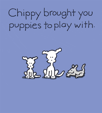 dogs puppy GIF by Chippy the Dog