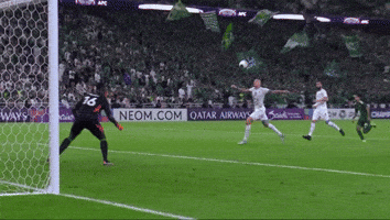 Afc Silva GIF