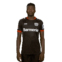 Posing Bayer 04 Sticker by Bundesliga