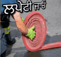 Comic Singh GIF