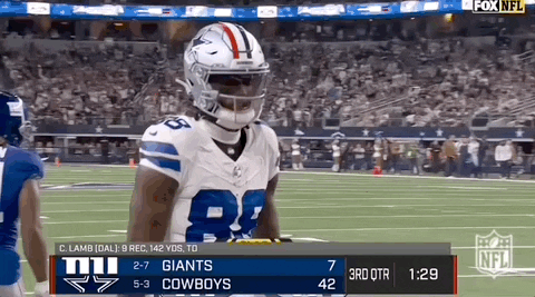 National Football League GIF by NFL