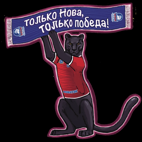 VolleyVFV giphygifmaker giphyattribution volleyball nova GIF