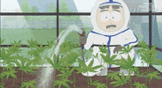 Smoke Plants GIF by South Park