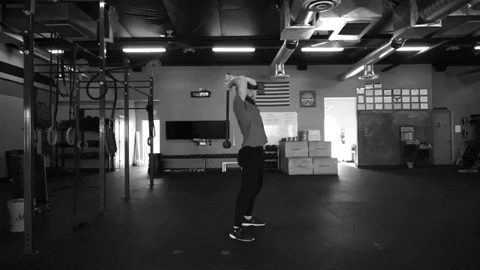 setforset giphygifmaker GIF