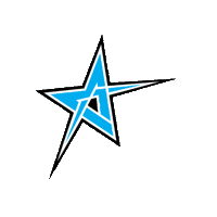 Star Sticker