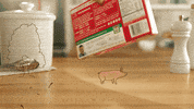 live action animation GIF by The Rocket Panda