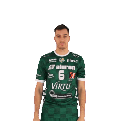 1-3 Virtu Sticker by Aluron CMC Warta Zawiercie