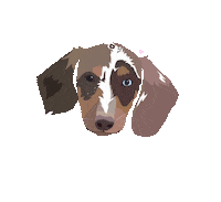 Dog Sticker by Watertown Humane Society
