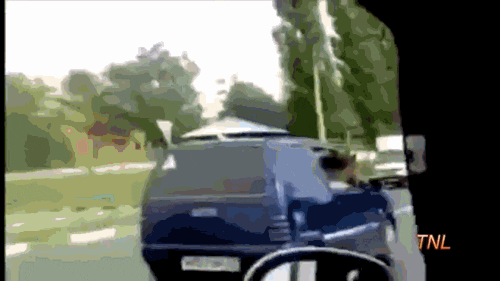Snow Fail GIF