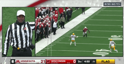 RyanBurnsMN giphyupload GIF