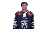 Celebration Goal GIF by Fehervar AV19