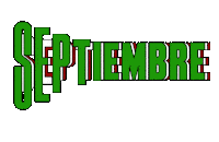 DaniMoon98 loop mexico verde blanco Sticker