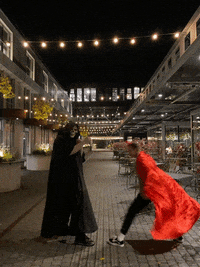 Dibseriai GIF by 1stdibs