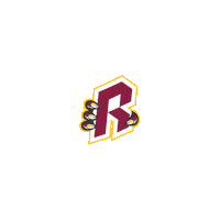 Ice Hockey Sticker Sticker by Brisbane Rampage