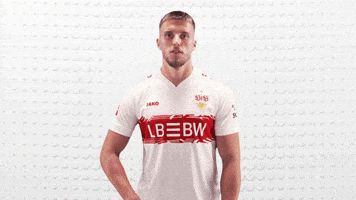 Vfb Stuttgart Football GIF by Bundesliga