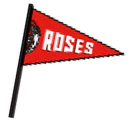 Lancaster University Sport Sticker by LUSU