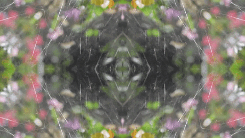 Art Love GIF by jorgemariozuleta