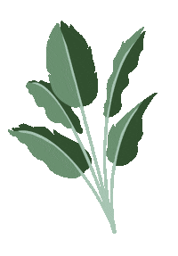 Plant Granola Sticker