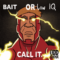 Call It Bait GIF