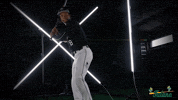 Hart Tulane GIF by GreenWave