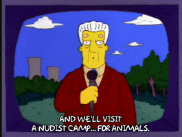 Season 4 Episode 20 GIF by The Simpsons