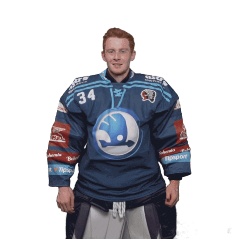 Hockey Thumbs Up Sticker by HC Škoda Plzeň