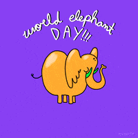 Animation Domination High-Def Artists On Tumblr GIF by gifnews