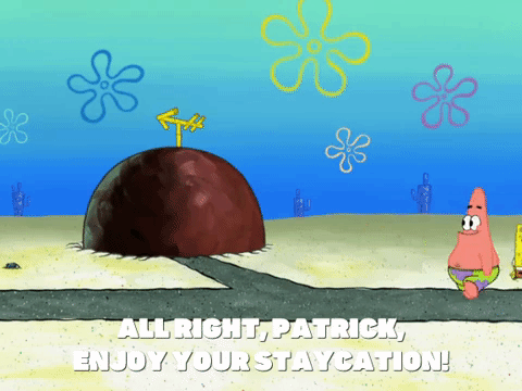 season 8 spongebob's runaway roadtrip: patrick's staycation GIF by SpongeBob SquarePants