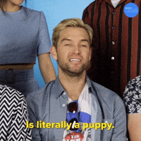 Literally A Puppy
