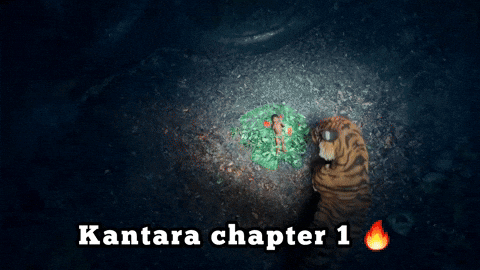 Movie Time Tiger GIF by Divo Music