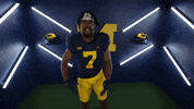 Go Blue College Football GIF by Michigan Athletics