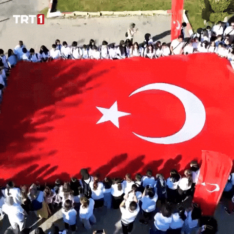 19 Mayıs Flag GIF by TRT