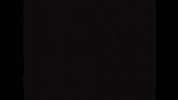 bbl hta GIF by Half The Animal