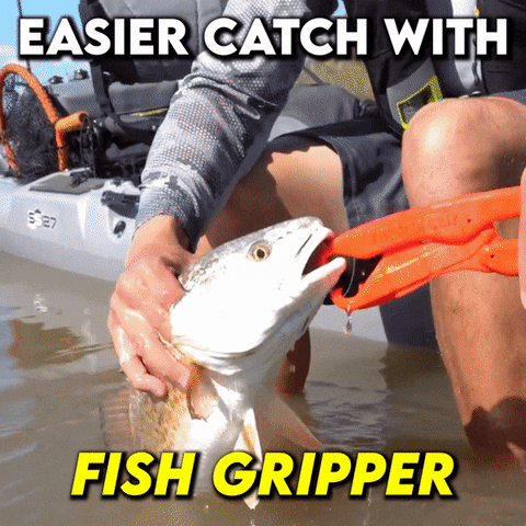 timothytee5b46 giphyupload GIF