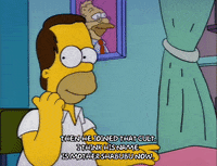 homer simpson episode 10 GIF