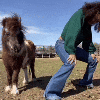 Happy Go Crazy GIF