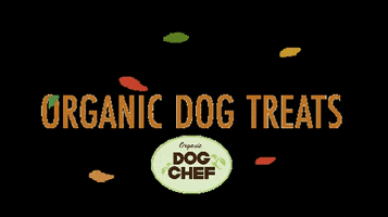 Dog Chef GIF by Organic Dog Chef